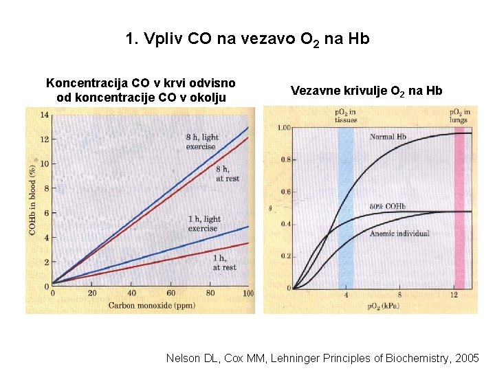 1. Vpliv CO na vezavo O 2 na Hb Koncentracija CO v krvi odvisno