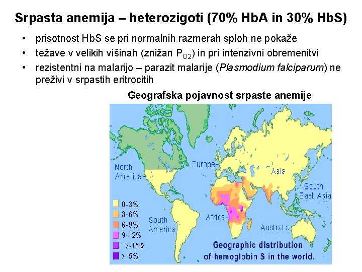 Srpasta anemija – heterozigoti (70% Hb. A in 30% Hb. S) • prisotnost Hb.