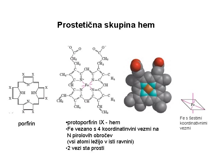 Prostetična skupina hem porfirin • protoporfirin IX - hem • Fe vezano s 4