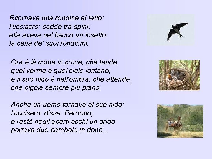 Ritornava una rondine al tetto: l'uccisero: cadde tra spini: ella aveva nel becco un Ritornava una rondine al tetto: l'uccisero: cadde tra spini: ella aveva nel becco un