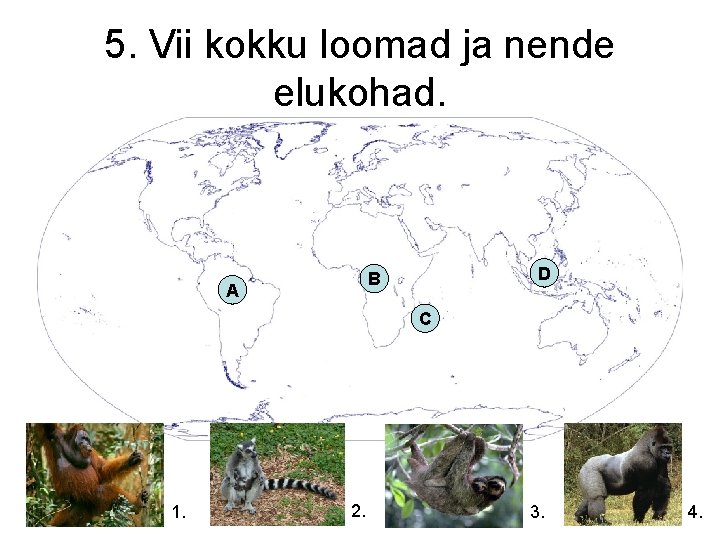 5. Vii kokku loomad ja nende elukohad. D B A C 1. 2. 3.