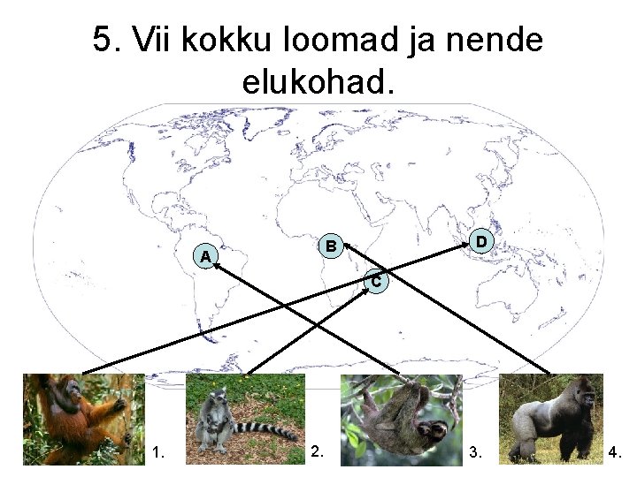 5. Vii kokku loomad ja nende elukohad. D B A C 1. 2. 3.