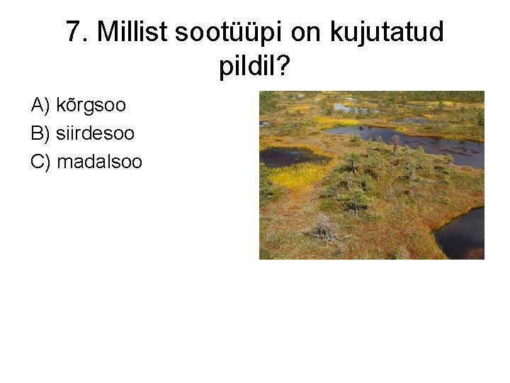 7. Millist sootüüpi on kujutatud pildil? A) kõrgsoo B) siirdesoo C) madalsoo 