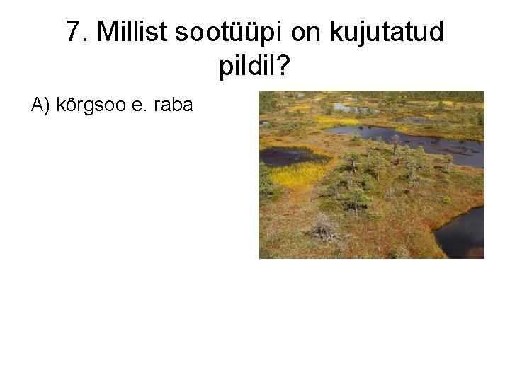 7. Millist sootüüpi on kujutatud pildil? A) kõrgsoo e. raba 