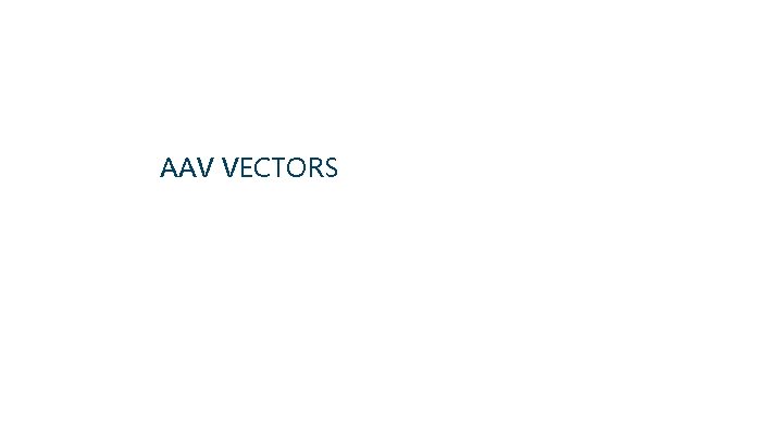 AAV VECTORS 