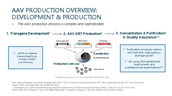 AAV PRODUCTION OVERVIEW: DEVELOPMENT & PRODUCTION • The AAV production process is complex and