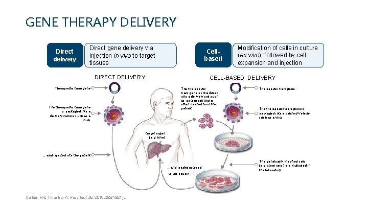 GENE THERAPY DELIVERY Direct delivery Direct gene delivery via injection in vivo to target