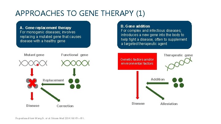 APPROACHES TO GENE THERAPY (1) A. Gene replacement therapy For monogenic diseases; involves replacing