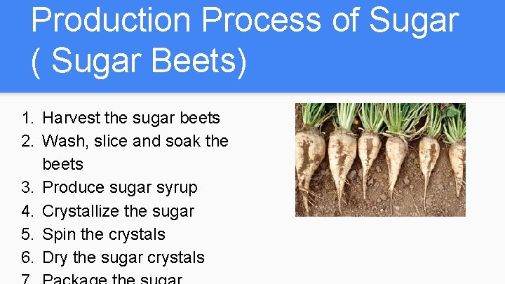Production Process of Sugar ( Sugar Beets) 1. Harvest the sugar beets 2. Wash,