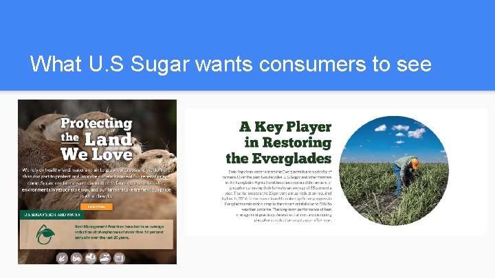 What U. S Sugar wants consumers to see 
