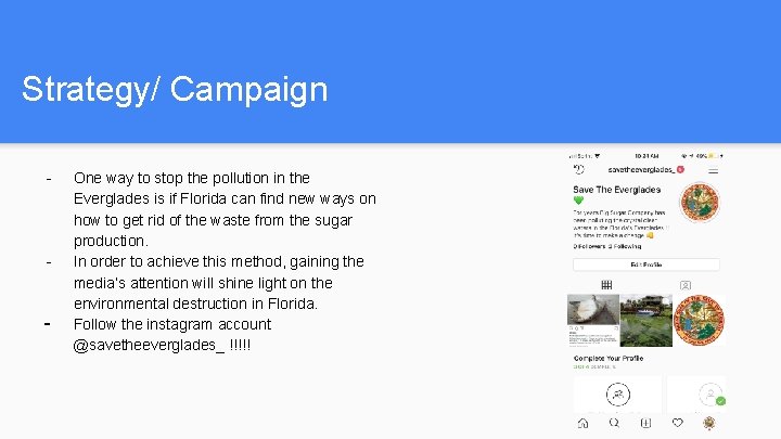 Strategy/ Campaign - - - One way to stop the pollution in the Everglades