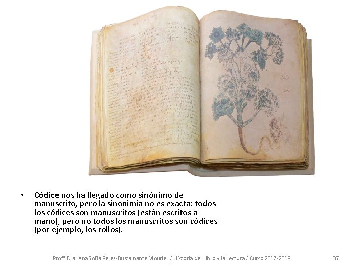  • Códice nos ha llegado como sinónimo de manuscrito, pero la sinonimia no