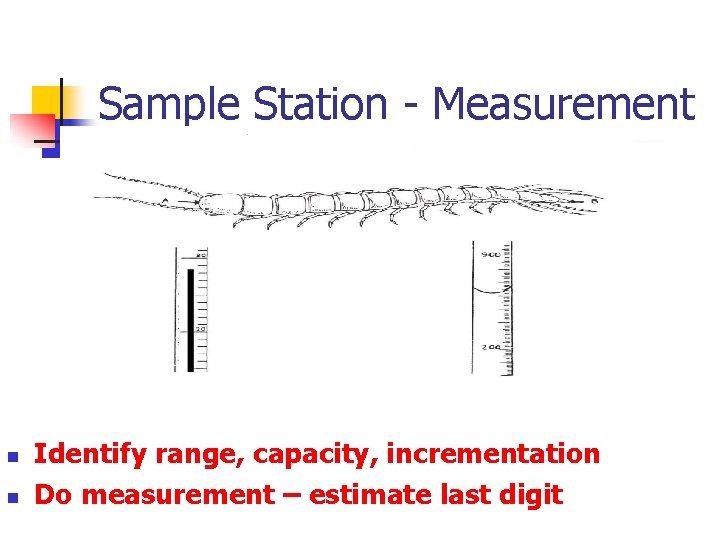 Sample Station - Measurement n n Identify range, capacity, incrementation Do measurement – estimate