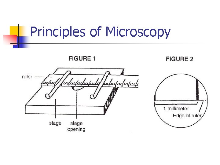 Principles of Microscopy 