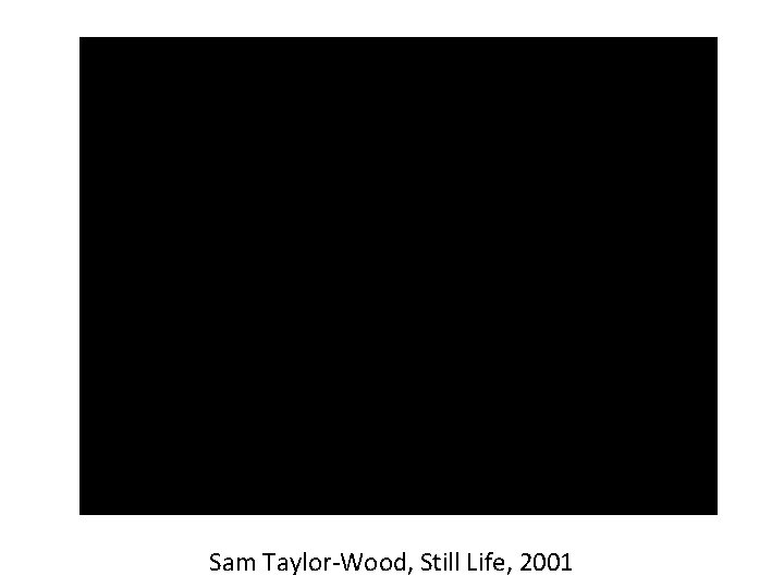 Sam Taylor-Wood, Still Life, 2001 