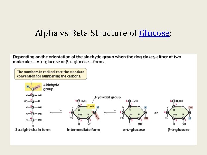 Alpha vs Beta Structure of Glucose: 