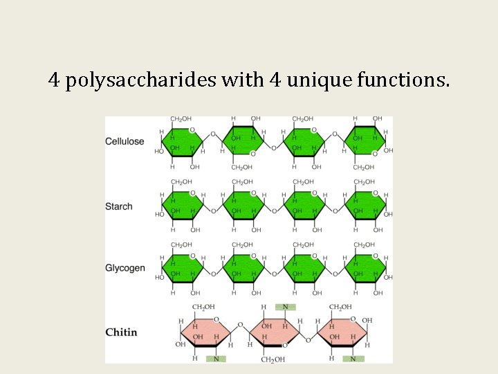 4 polysaccharides with 4 unique functions. 