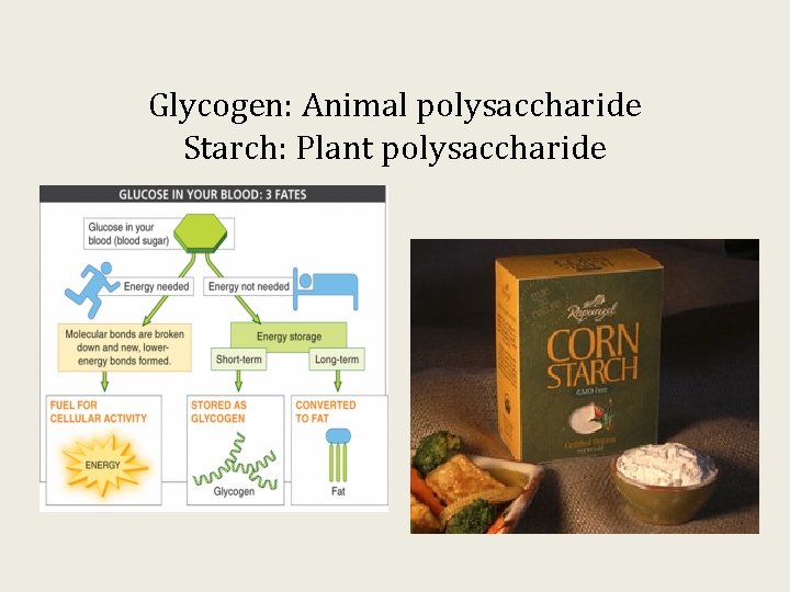 Glycogen: Animal polysaccharide Starch: Plant polysaccharide 
