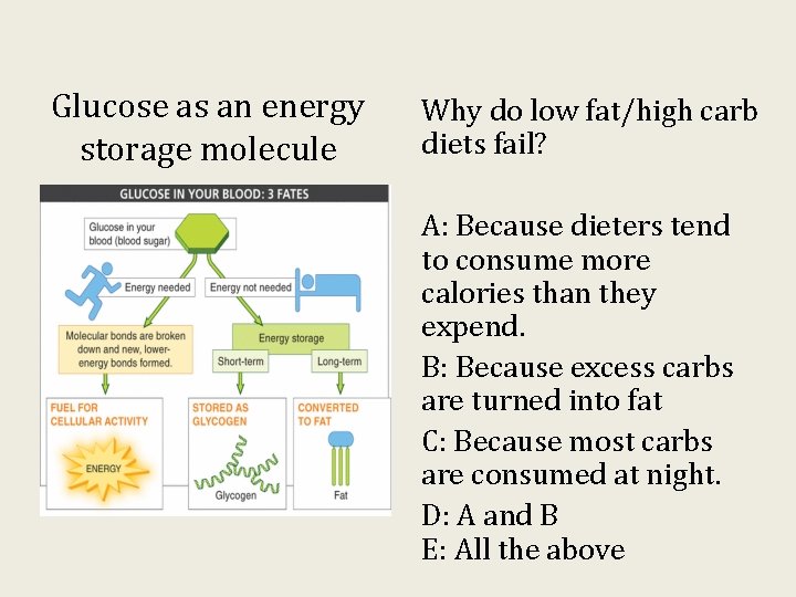 Glucose as an energy storage molecule Why do low fat/high carb diets fail? A: