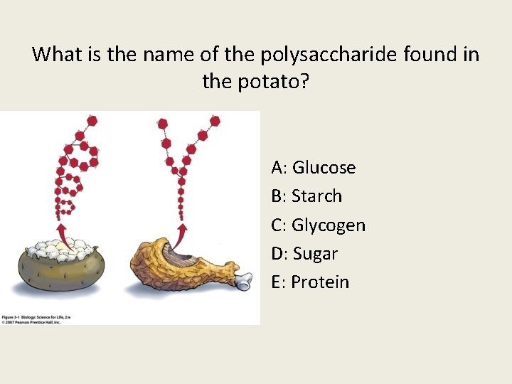 What is the name of the polysaccharide found in the potato? A: Glucose B: