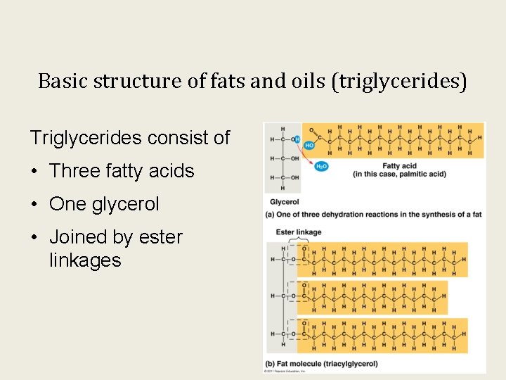 Basic structure of fats and oils (triglycerides) Triglycerides consist of • Three fatty acids
