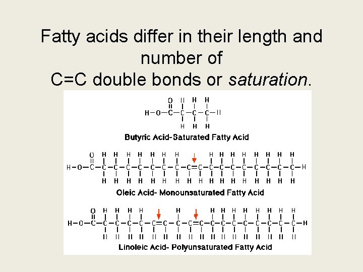 Fatty acids differ in their length and number of C=C double bonds or saturation.