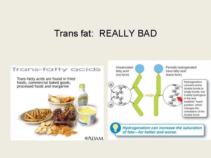 Trans fat: REALLY BAD 
