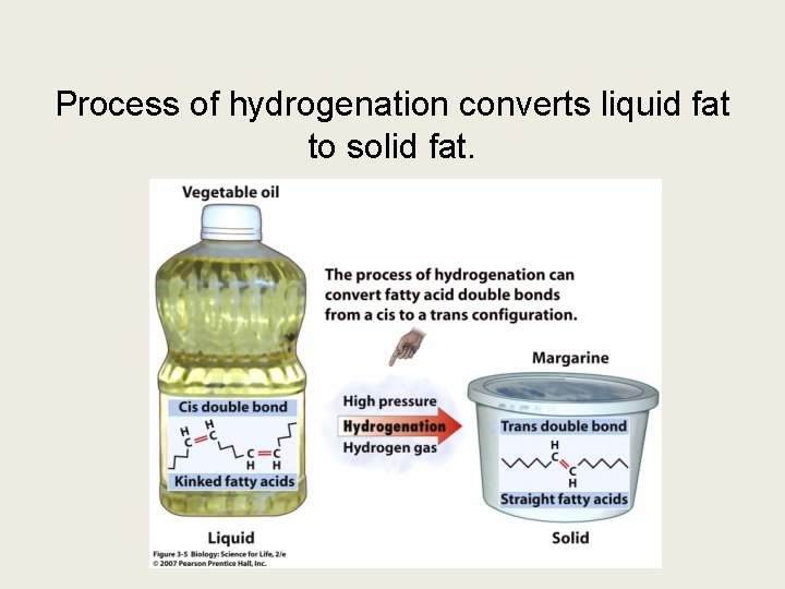 Process of hydrogenation converts liquid fat to solid fat. 