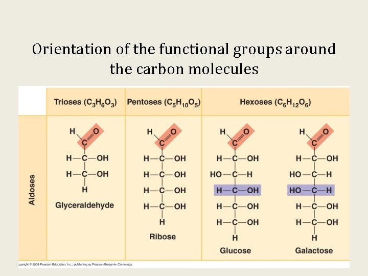 Orientation of the functional groups around the carbon molecules 