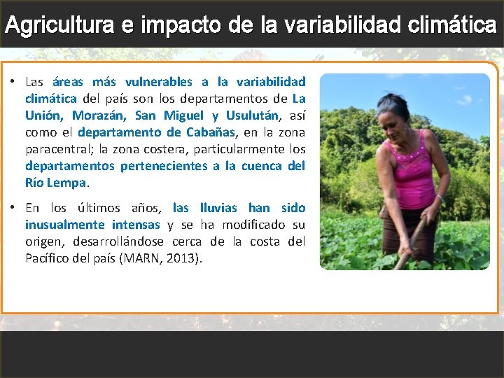 Agricultura e impacto de la variabilidad climática • Las áreas más vulnerables a la