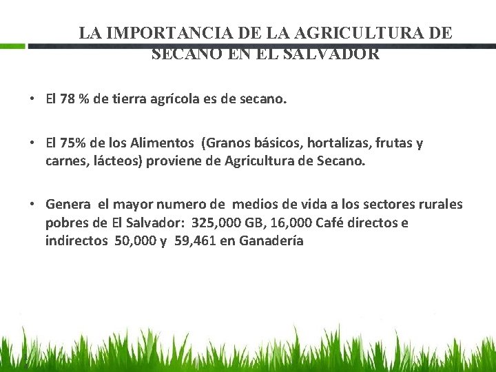 LA IMPORTANCIA DE LA AGRICULTURA DE SECANO EN EL SALVADOR • El 78 %