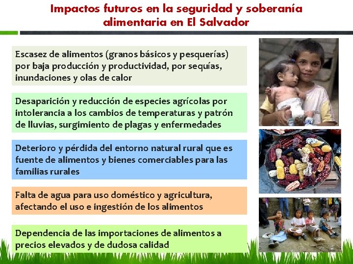 Impactos futuros en la seguridad y soberanía alimentaria en El Salvador Escasez de alimentos