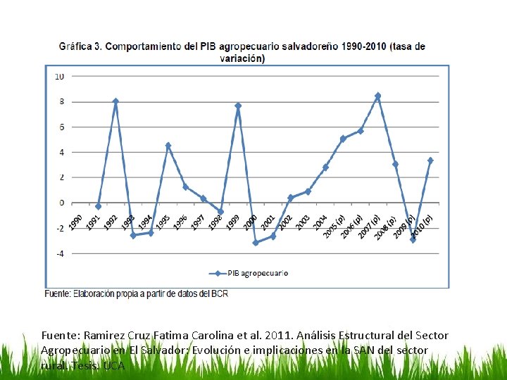 Fuente: Ramirez Cruz Fatima Carolina et al. 2011. Análisis Estructural del Sector Agropecuario en