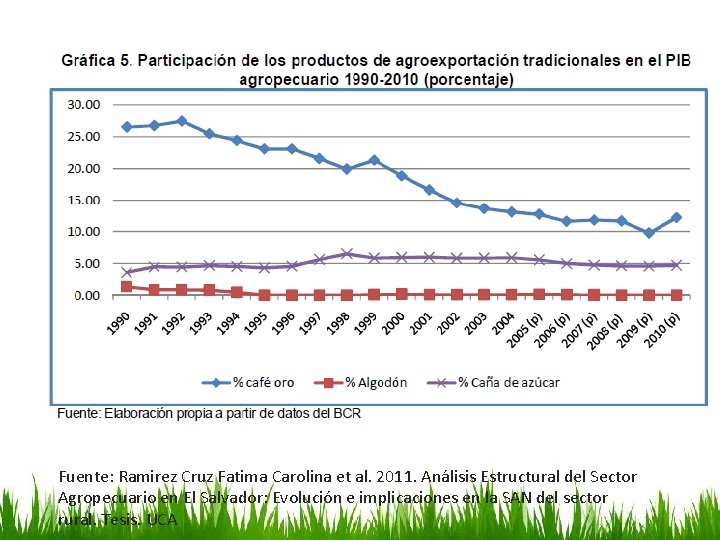 Fuente: Ramirez Cruz Fatima Carolina et al. 2011. Análisis Estructural del Sector Agropecuario en