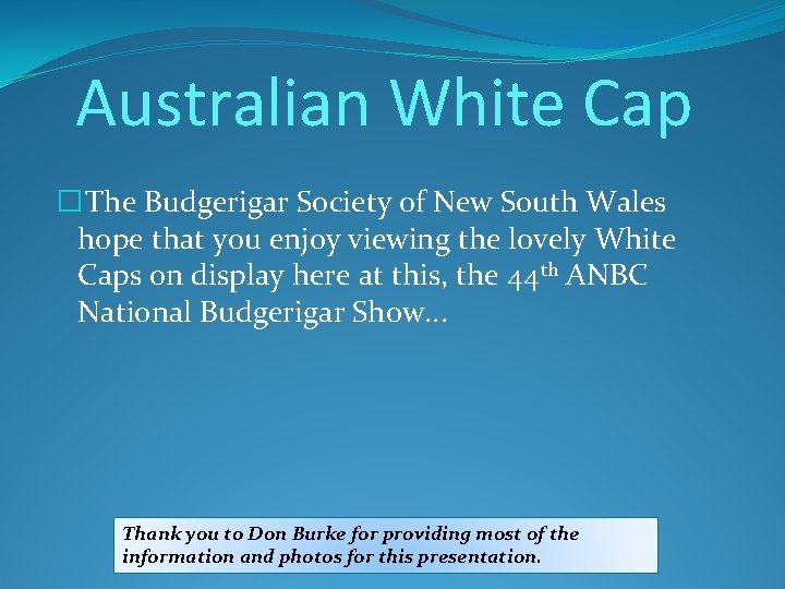 Australian White Cap � The Budgerigar Society of New South Wales hope that you