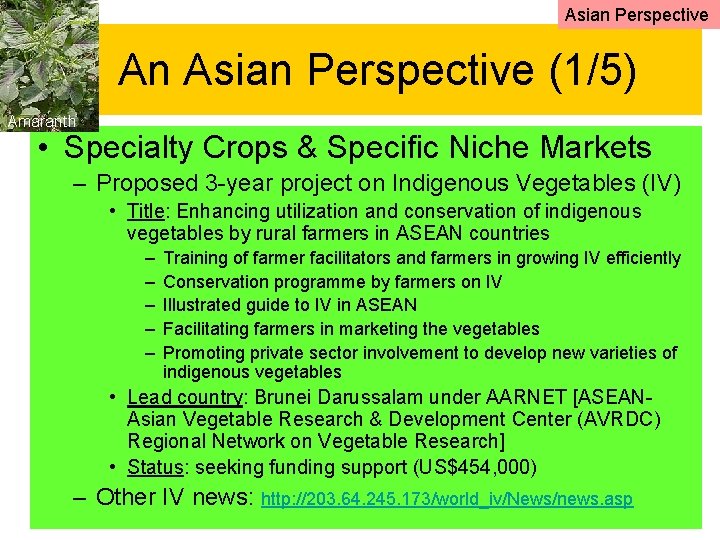 Asian Perspective An Asian Perspective (1/5) Amaranth • Specialty Crops & Specific Niche Markets