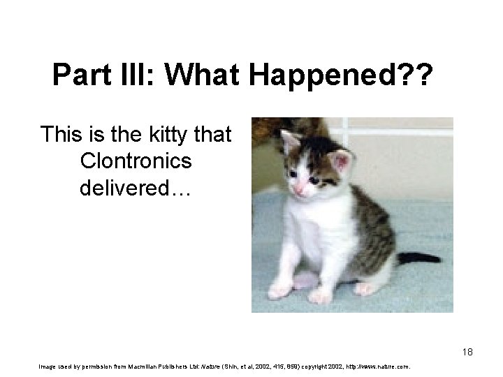 Part III: What Happened? ? This is the kitty that Clontronics delivered… 18 Image