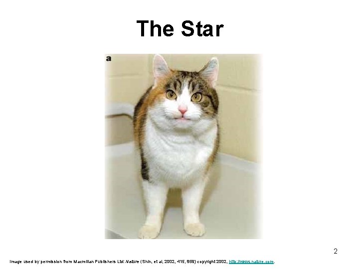 The Star 2 Image used by permission from Macmillan Publishers Ltd: Nature (Shin, et