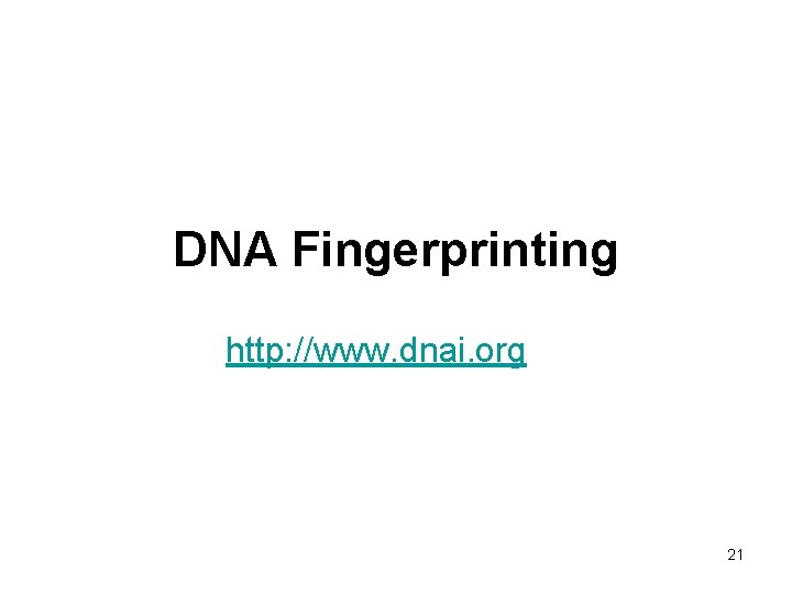 DNA Fingerprinting http: //www. dnai. org 21 