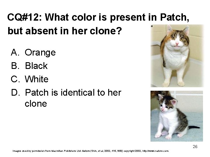 CQ#12: What color is present in Patch, but absent in her clone? A. B.