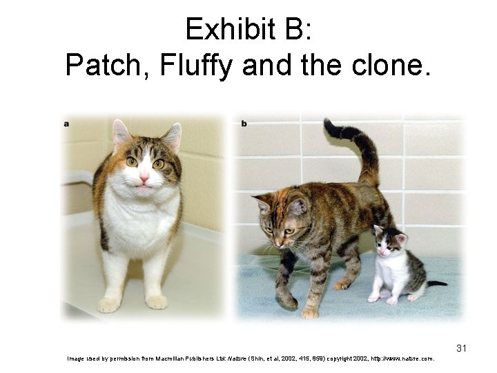 Exhibit B: Patch, Fluffy and the clone. 31 Image used by permission from Macmillan