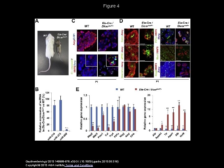 Figure 4 Gastroenterology 2013 145668 -678. e 3 DOI: (10. 1053/j. gastro. 2013. 05.