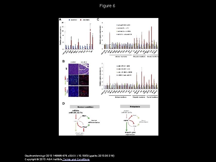 Figure 6 Gastroenterology 2013 145668 -678. e 3 DOI: (10. 1053/j. gastro. 2013. 05.