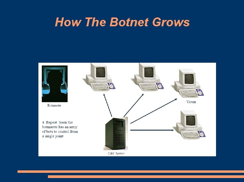 How The Botnet Grows 