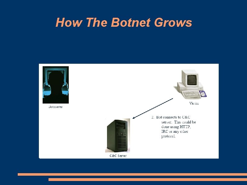 How The Botnet Grows 