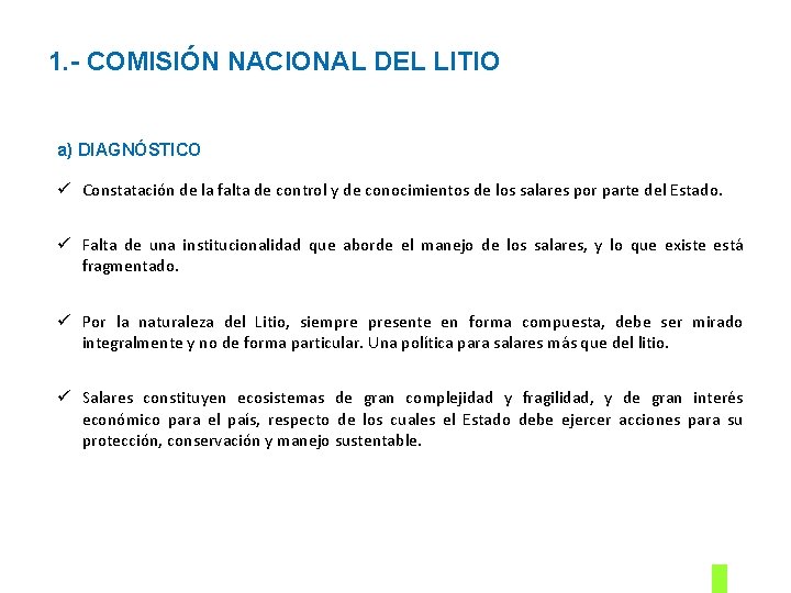 1. - COMISIÓN NACIONAL DEL LITIO a) DIAGNÓSTICO Constatación de la falta de control