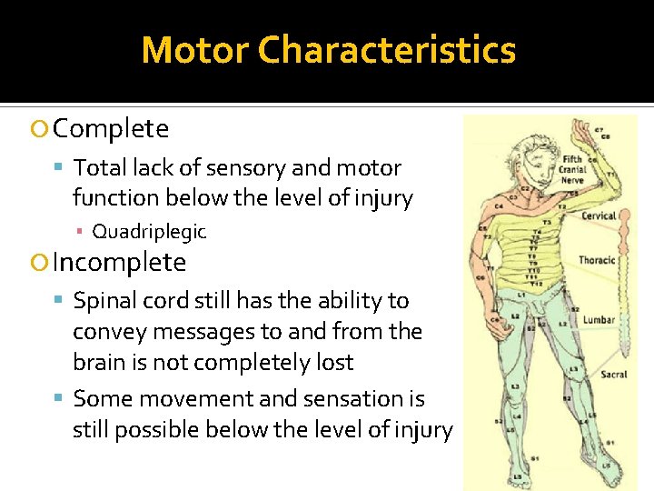 Motor Characteristics Complete Total lack of sensory and motor function below the level of