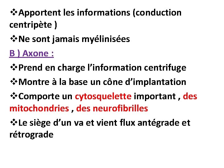 v. Apportent les informations (conduction centripète ) v. Ne sont jamais myélinisées B )