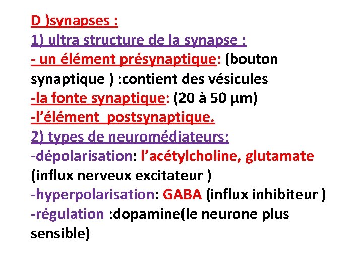 D )synapses : 1) ultra structure de la synapse : - un élément présynaptique: