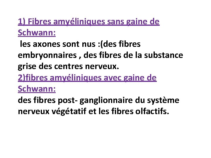 1) Fibres amyéliniques sans gaine de Schwann: les axones sont nus : (des fibres